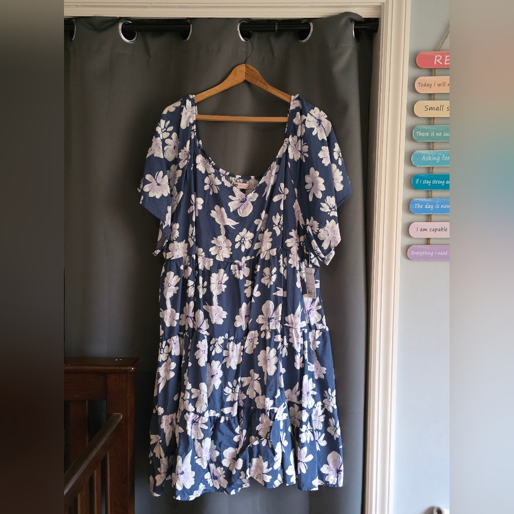 Floral Blue and White Women's Plus Size Dress 3X